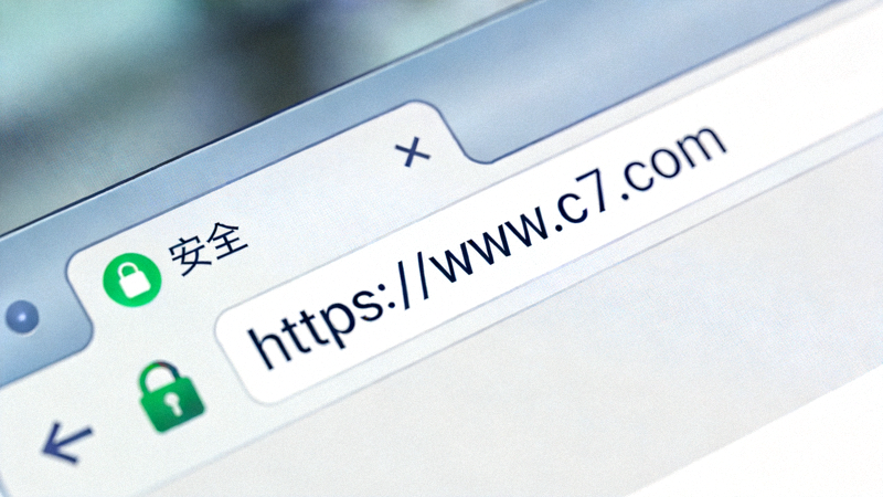 C7官方登录入口安全访问说明配图 - 浏览器地址栏中C7官网域名与HTTPS安全锁标识的特写画面